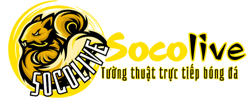 Trực Tiếp Bóng Đá - Cảm Nhận Thú Vị Từ Những Trận Đấu Nảy Lửa